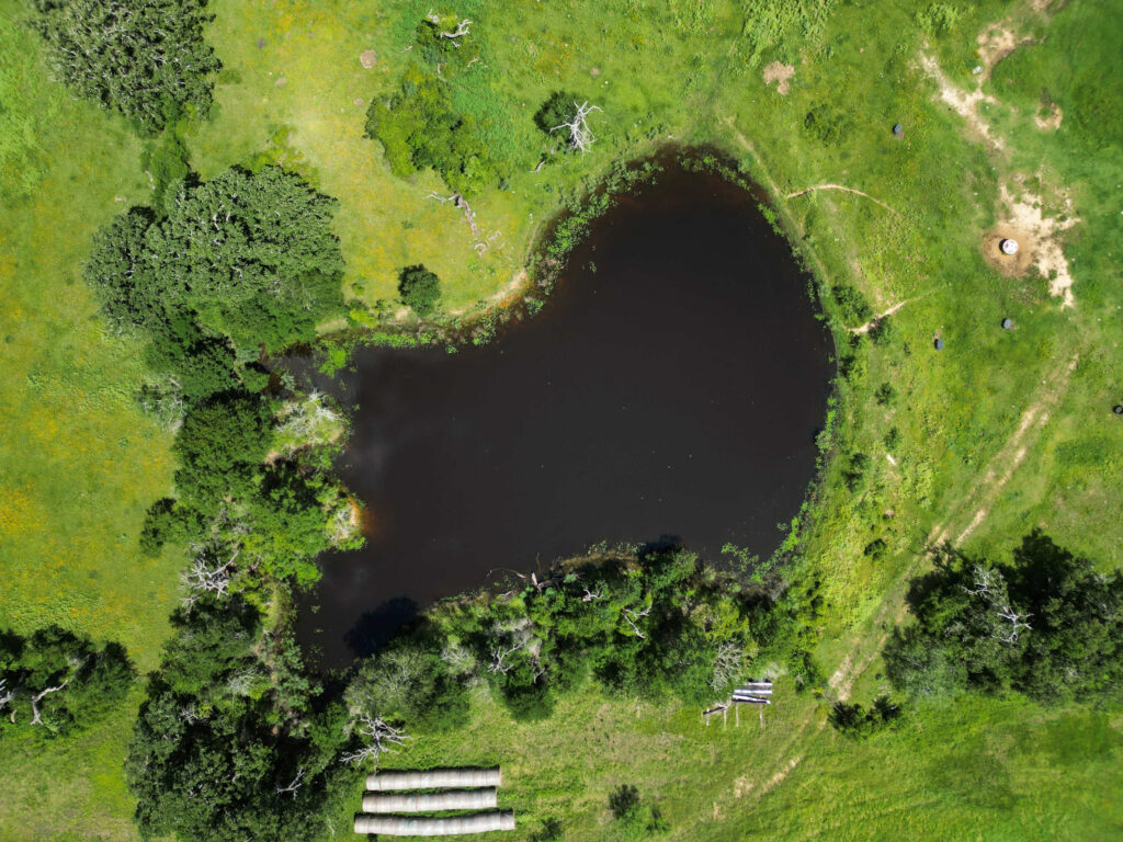 DJI_0405