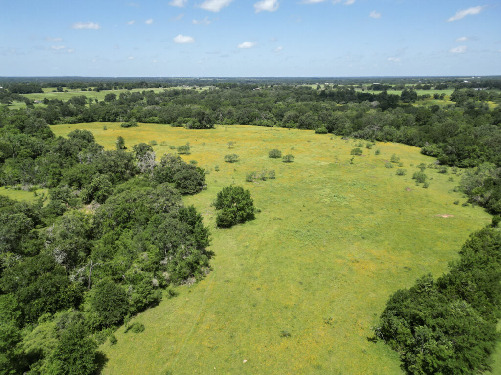 DJI_0423