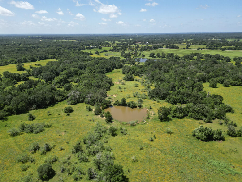 DJI_0435
