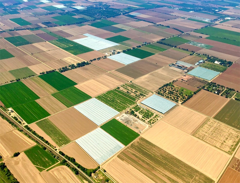 Land & Special-Use Assets